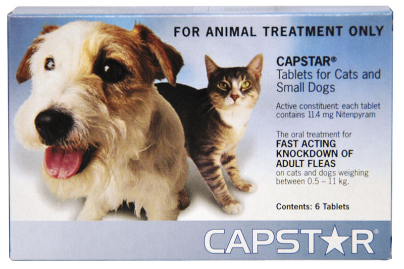 Capstar for dogs